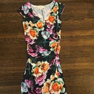 Nicole Miller Artelier Maternity Dress